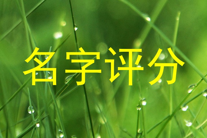 名字评分