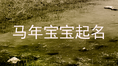 马年宝宝起名