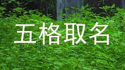 五格取名