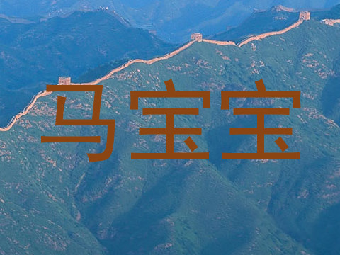 马宝宝