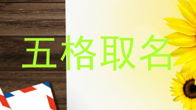 五格取名