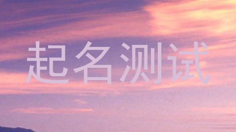 起名测试