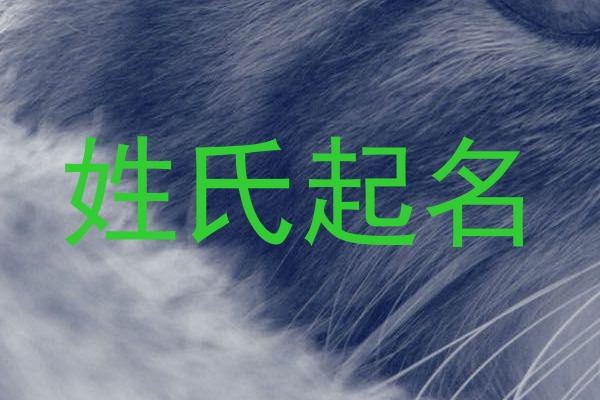 姓氏起名