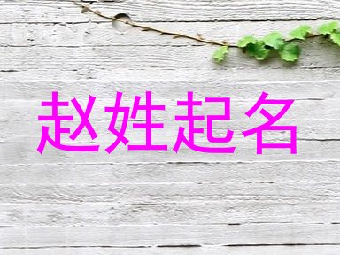 赵姓起名