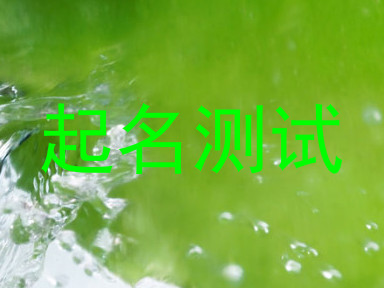 起名测试