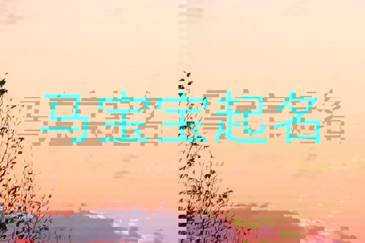 马宝宝起名