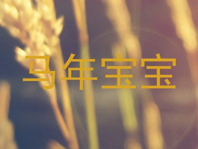 马年宝宝