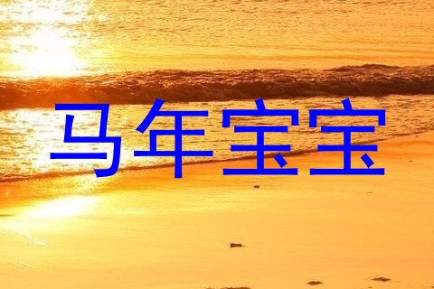 马年宝宝