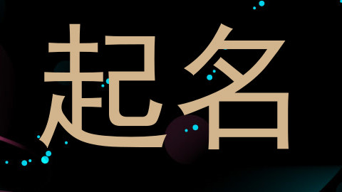 起名