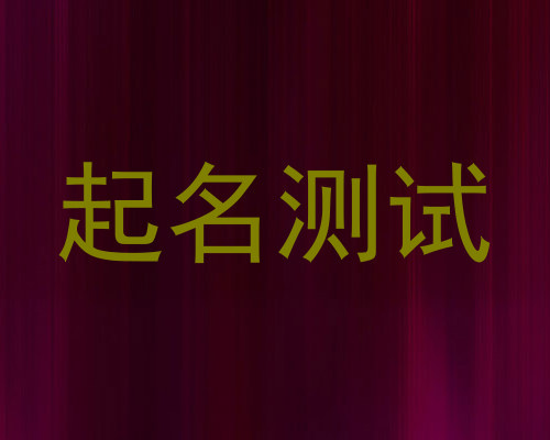 起名测试