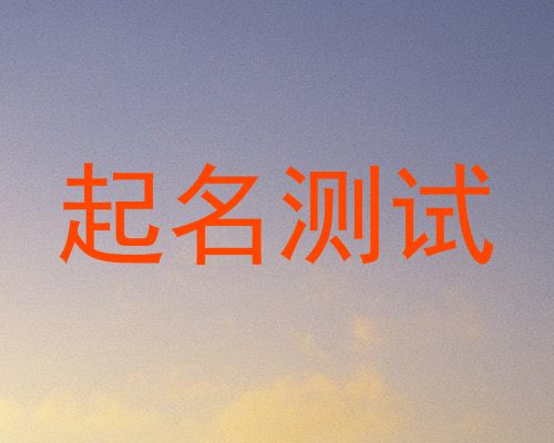 起名测试