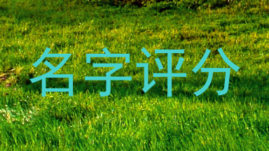 名字评分