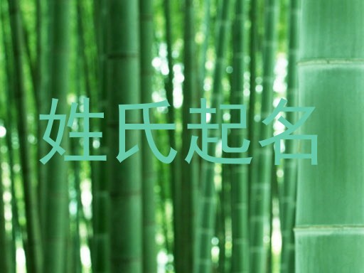 姓氏起名