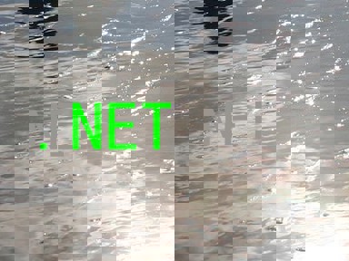 .NET