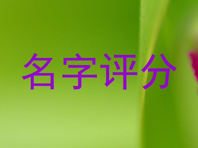 名字评分