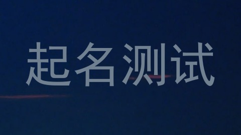 起名测试