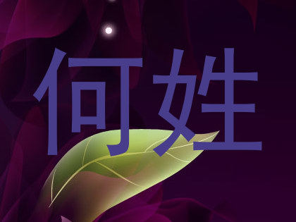 何姓