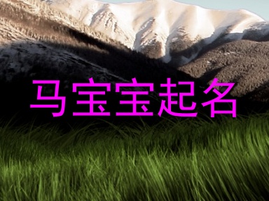 马宝宝起名