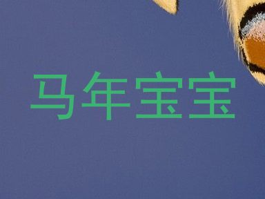 马年宝宝
