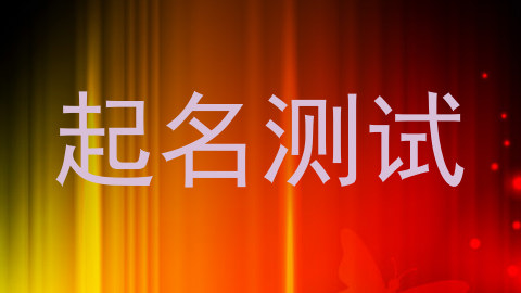 起名测试