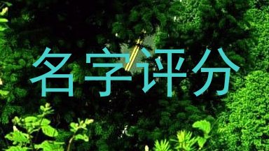 名字评分
