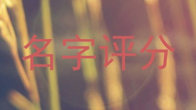 名字评分