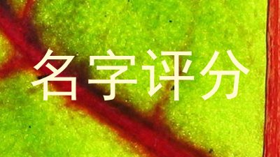 名字评分