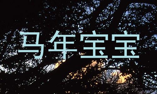 马年宝宝