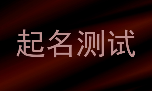 起名测试
