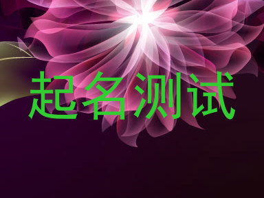 起名测试