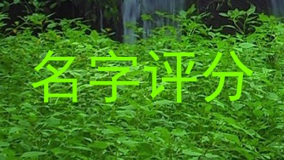 名字评分