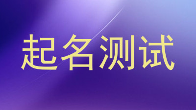 起名测试