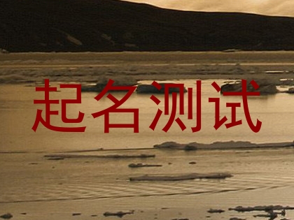起名测试