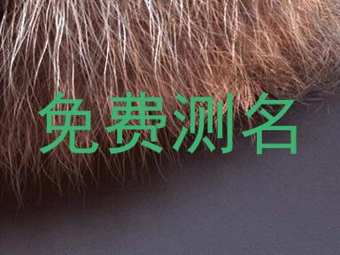 免费测名
