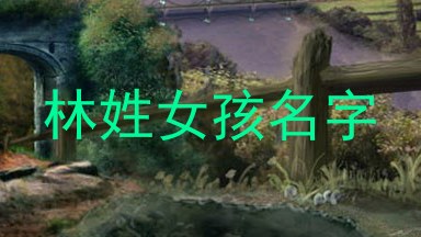 林姓女孩名字