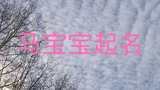 马年宝宝