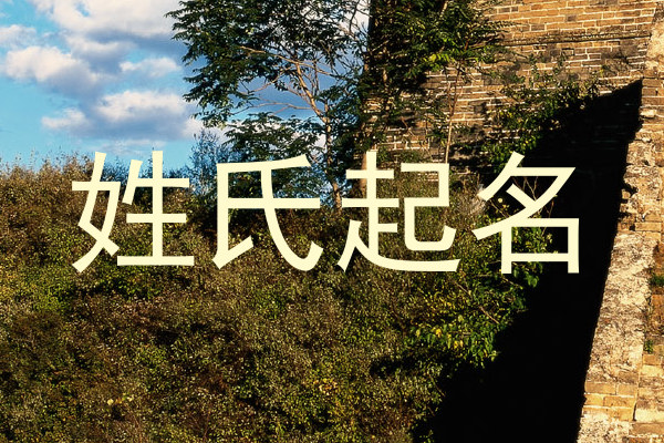 姓氏起名