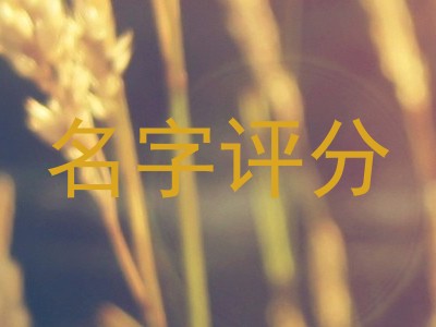 名字评分
