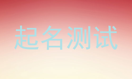 起名测试