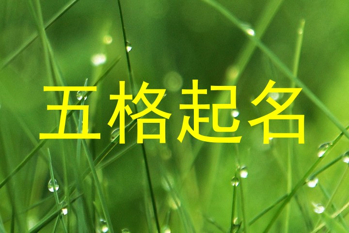 五格起名
