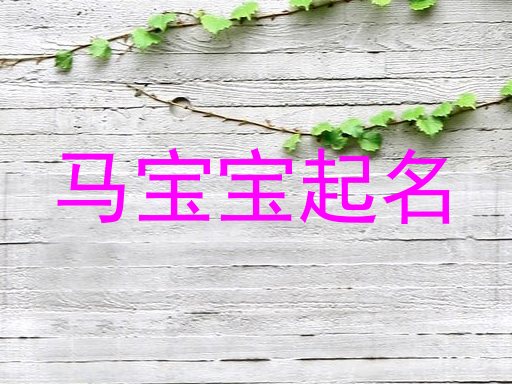 马年宝宝