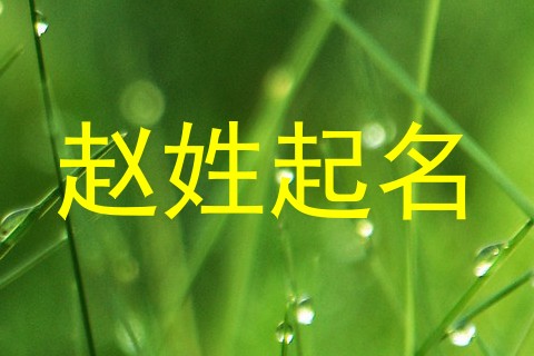 赵姓起名