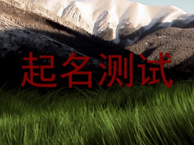 起名测试