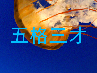 五格三才