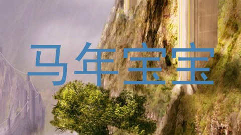 马年宝宝