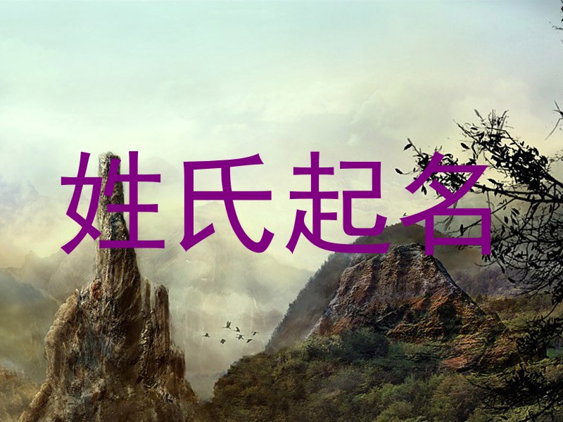 姓氏起名