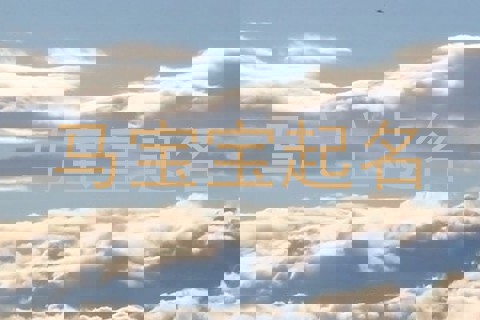 马宝宝起名