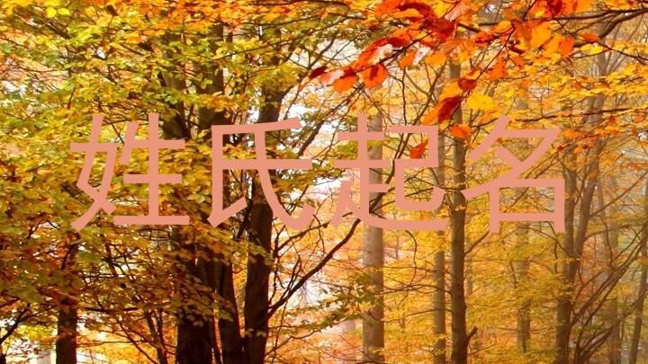 姓氏起名