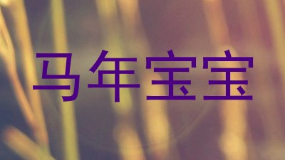 马年宝宝