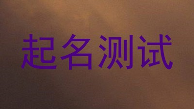 起名测试